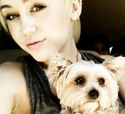 Miley Cyrus s Lilou Foto: twitter